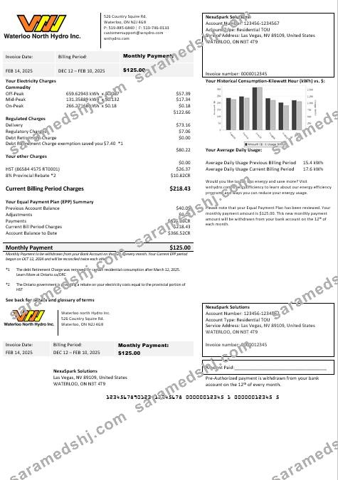 USA Nevada Waterloo North Hydro business utility bill template in Word and PDF formats (version 2)